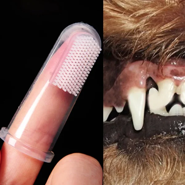 Brosse à dents en silicone pour chiens, accessoire d'hygiène dentaire pour chiens de taille moyenne